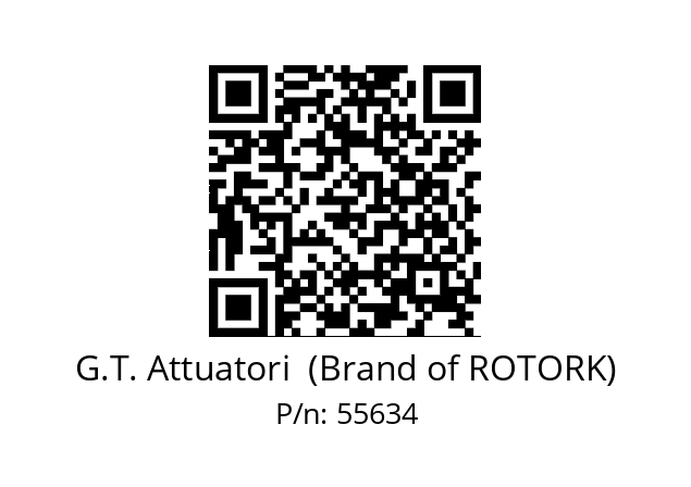   G.T. Attuatori  (Brand of ROTORK) 55634