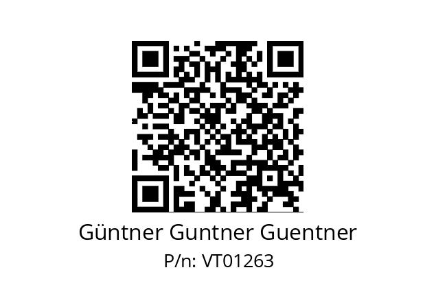   Güntner Guntner Guentner VT01263