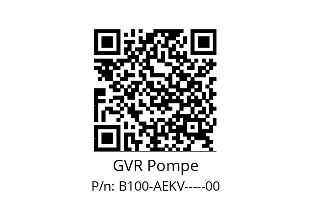   GVR Pompe B100-AEKV-----00