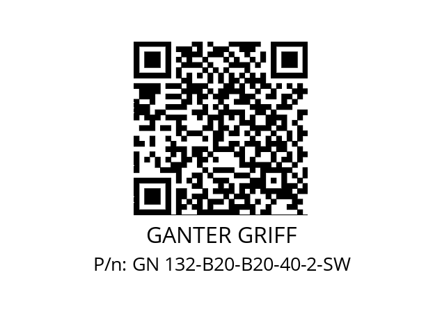   GANTER GRIFF GN 132-B20-B20-40-2-SW