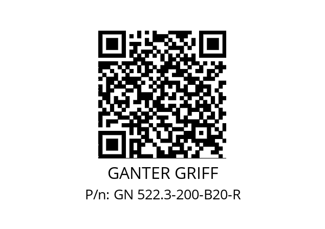   GANTER GRIFF GN 522.3-200-B20-R