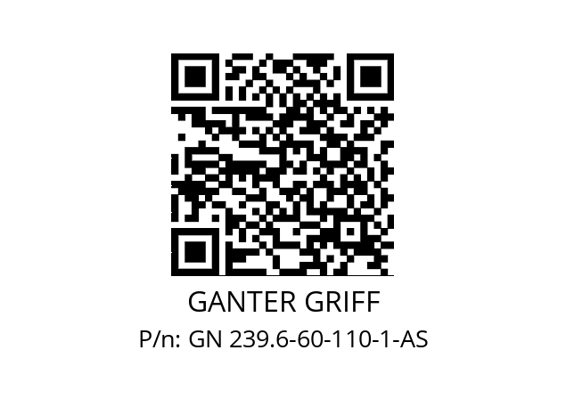   GANTER GRIFF GN 239.6-60-110-1-AS