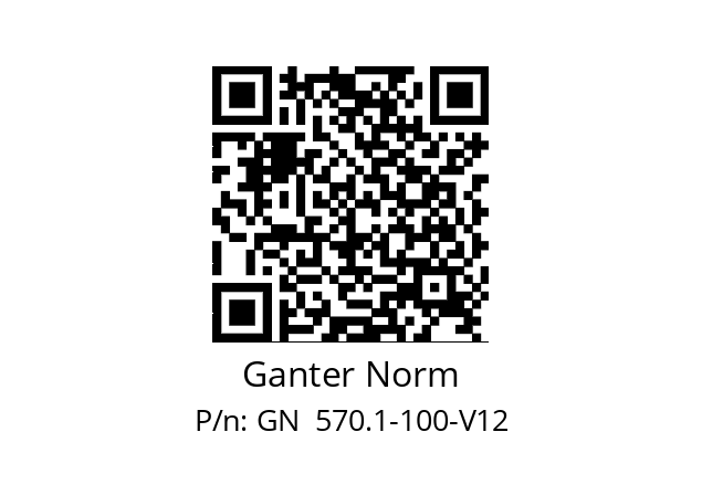   Ganter Norm GN  570.1-100-V12