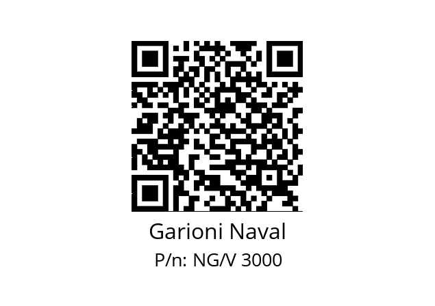   Garioni Naval NG/V 3000