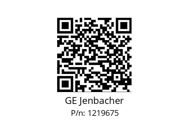   GE Jenbacher 1219675