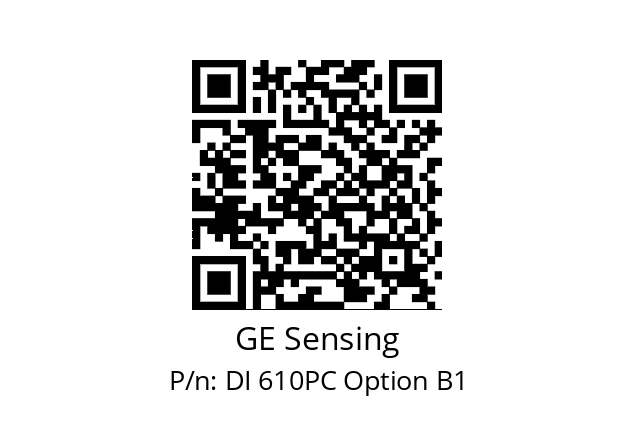   GE Sensing DI 610PC Option B1