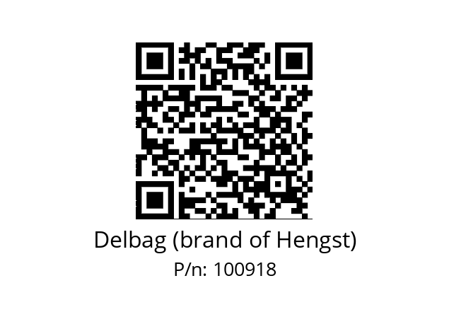  FI6101352 Delbag (brand of Hengst) 100918