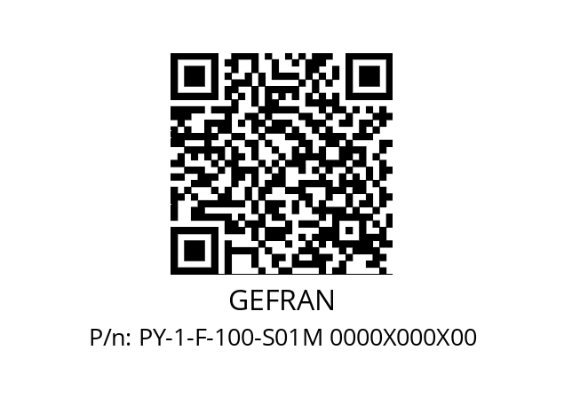   GEFRAN PY-1-F-100-S01M 0000X000X00