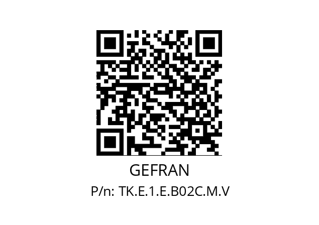   GEFRAN TK.E.1.E.B02C.M.V