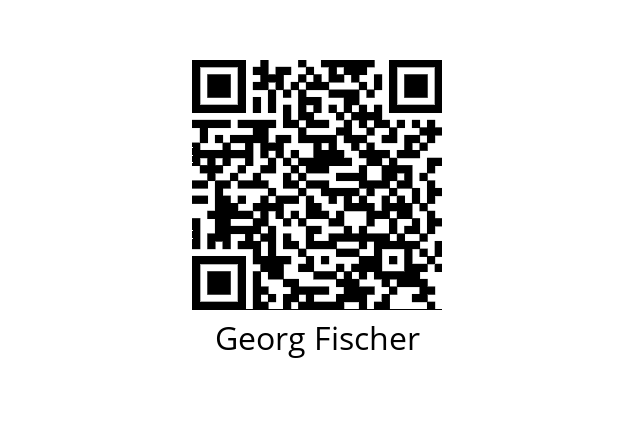  161543201 Georg Fischer 