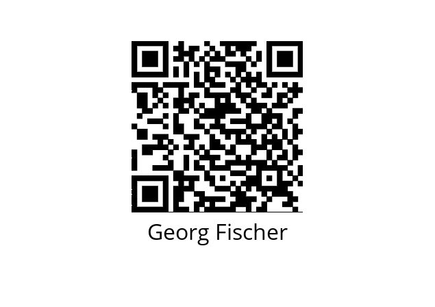  161546064 Georg Fischer 