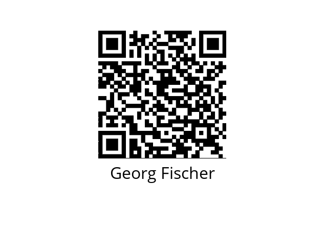  721100107 Georg Fischer 