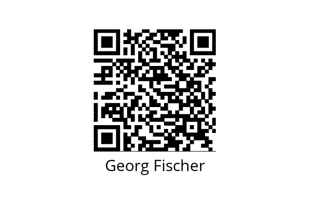  799298010 Georg Fischer 