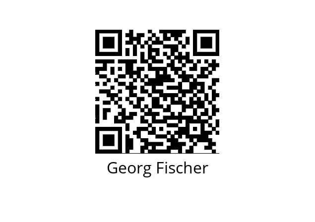  161546063 Georg Fischer 