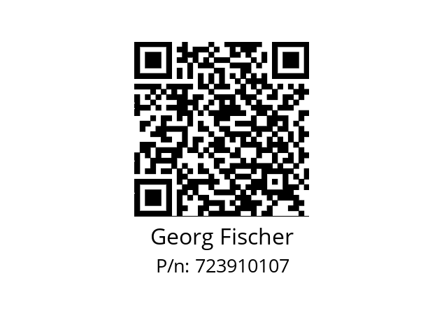   Georg Fischer 723910107