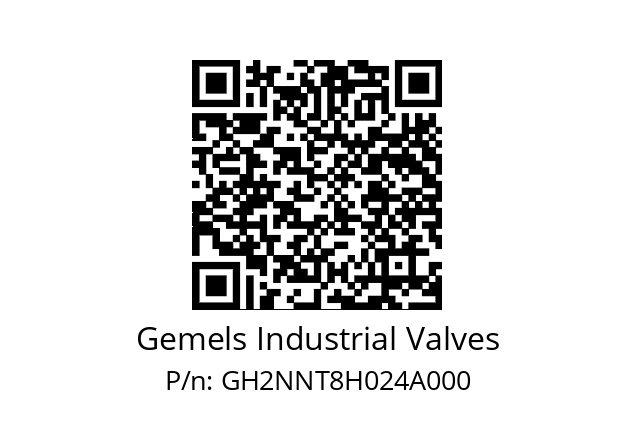   Gemels Industrial Valves GH2NNT8H024A000