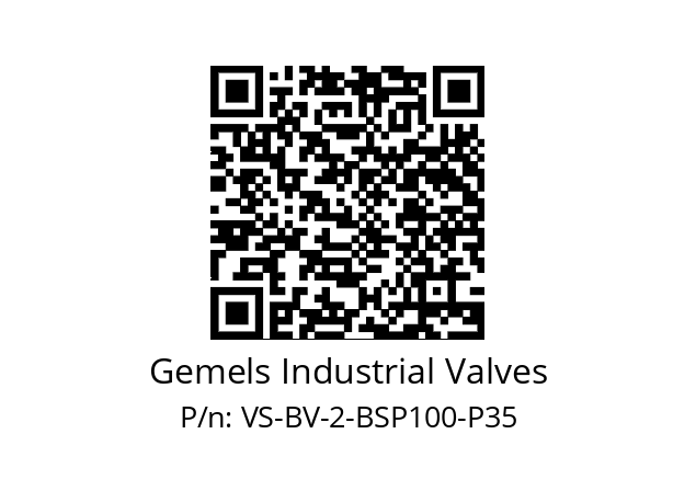   Gemels Industrial Valves VS-BV-2-BSP100-P35