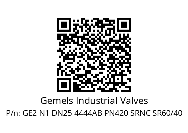   Gemels Industrial Valves GE2 N1 DN25 4444AB PN420 SRNC SR60/40