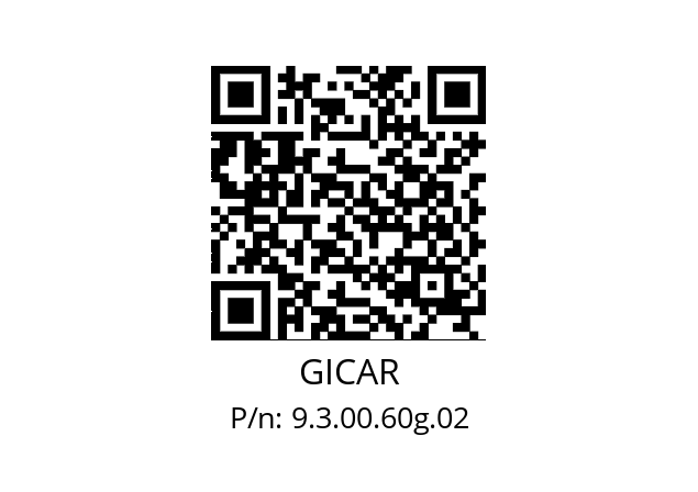   GICAR 9.3.00.60g.02