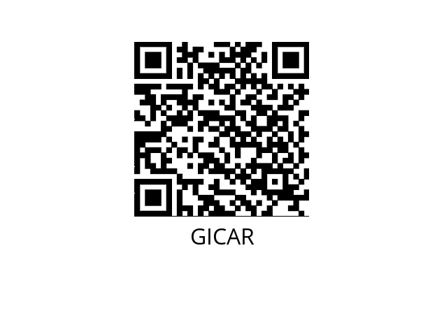  9.1.40.48G GICAR 