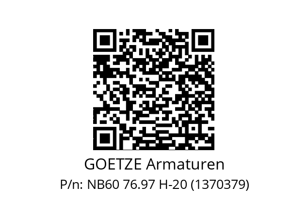   GOETZE Armaturen NB60 76.97 H-20 (1370379)