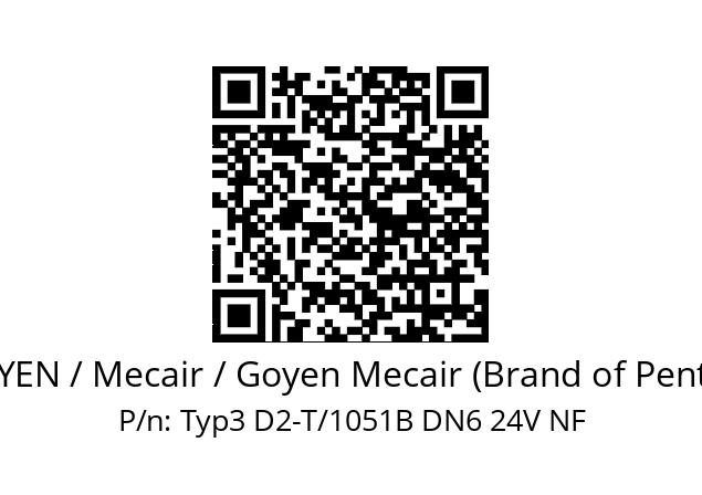   GOYEN / Mecair / Goyen Mecair (Brand of Pentair) Typ3 D2-T/1051B DN6 24V NF