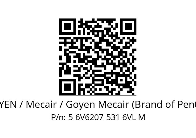   GOYEN / Mecair / Goyen Mecair (Brand of Pentair) 5-6V6207-531 6VL M