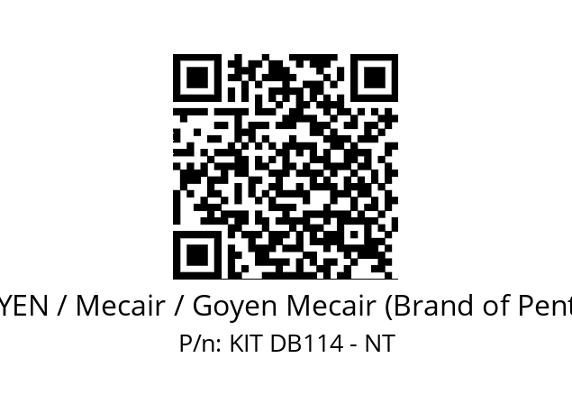   GOYEN / Mecair / Goyen Mecair (Brand of Pentair) KIT DB114 - NT