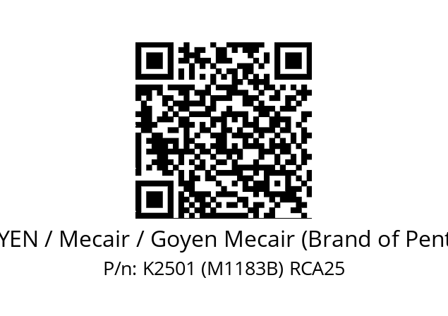   GOYEN / Mecair / Goyen Mecair (Brand of Pentair) K2501 (M1183B) RCA25