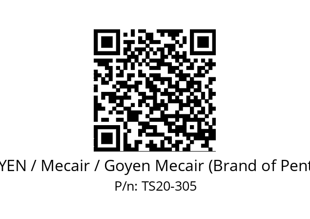   GOYEN / Mecair / Goyen Mecair (Brand of Pentair) TS20-305