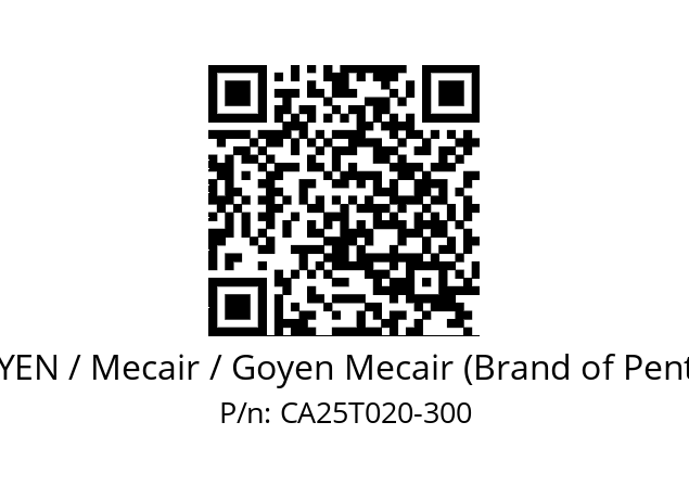   GOYEN / Mecair / Goyen Mecair (Brand of Pentair) CA25T020-300