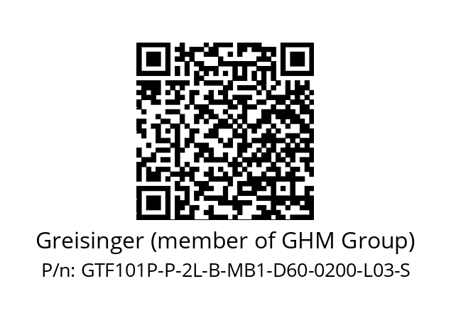   Greisinger (member of GHM Group) GTF101P-P-2L-B-MB1-D60-0200-L03-S