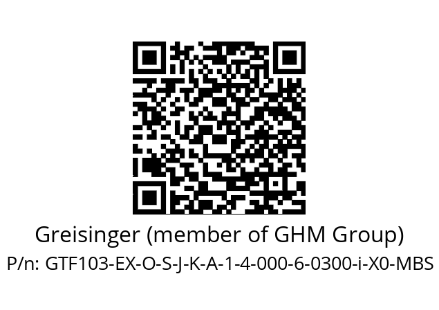   Greisinger (member of GHM Group) GTF103-EX-O-S-J-K-A-1-4-000-6-0300-i-X0-MBS