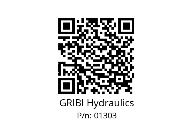   GRIBI Hydraulics 01303