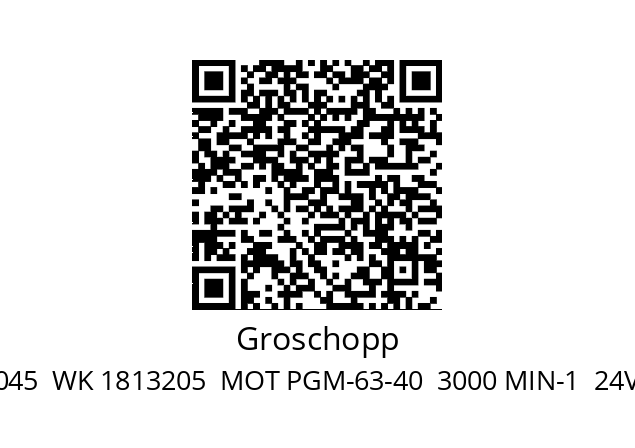   Groschopp NR 11370045  WK 1813205  MOT PGM-63-40  3000 MIN-1  24V DC  3.8A  66W