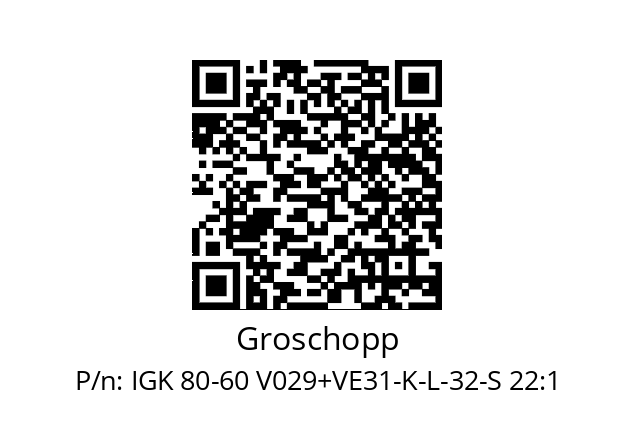   Groschopp IGK 80-60 V029+VE31-K-L-32-S 22:1