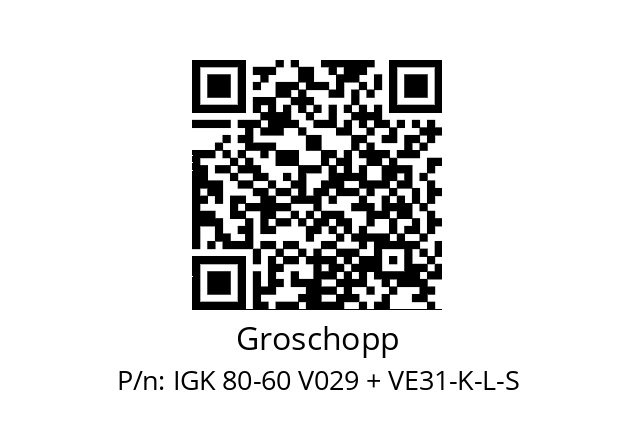   Groschopp IGK 80-60 V029 + VE31-K-L-S