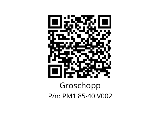   Groschopp PM1 85-40 V002