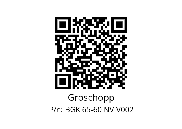   Groschopp BGK 65-60 NV V002