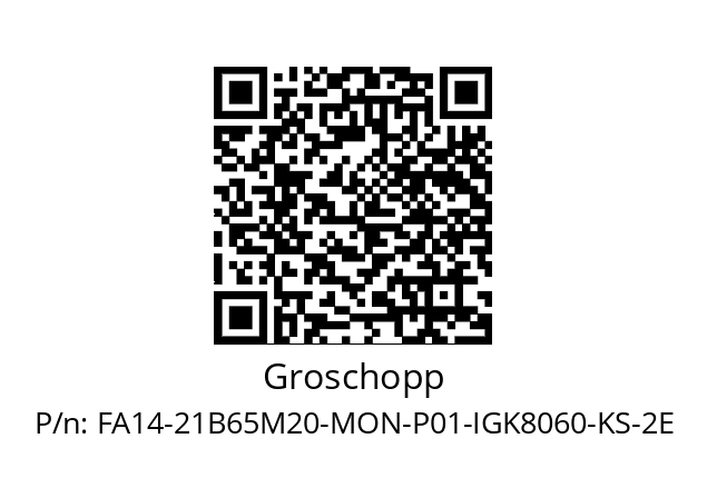   Groschopp FA14-21B65M20-MON-P01-IGK8060-KS-2E