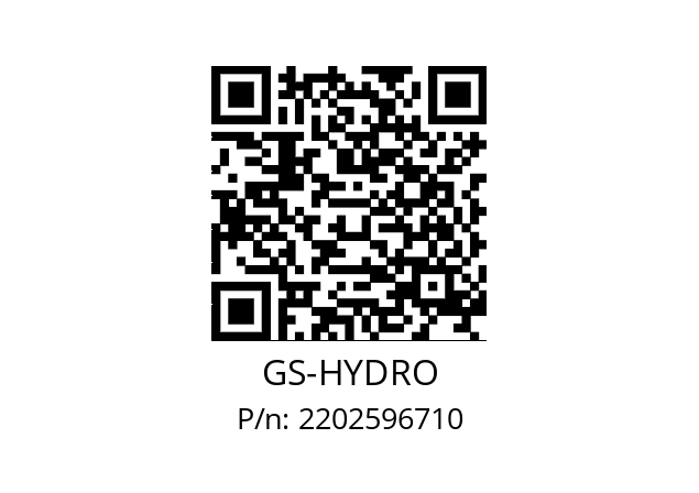   GS-HYDRO 2202596710