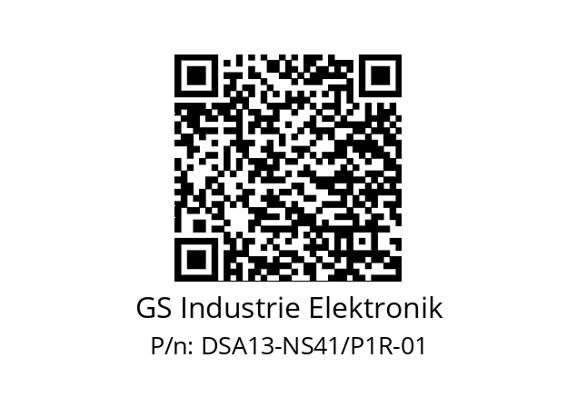   GS Industrie Elektronik DSA13-NS41/P1R-01