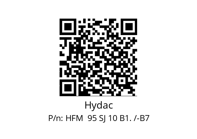   Hydac HFM  95 SJ 10 B1. /-B7