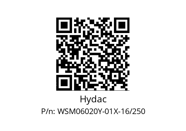   Hydac WSM06020Y-01X-16/250