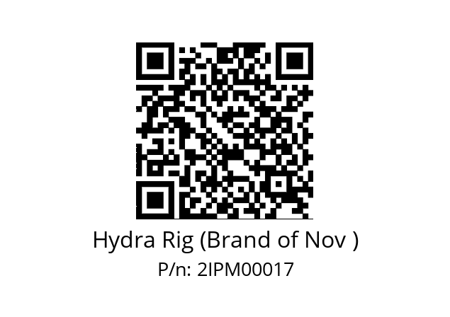   Hydra Rig (Brand of Nov ) 2IPM00017