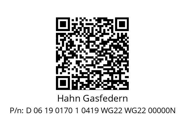   Hahn Gasfedern D 06 19 0170 1 0419 WG22 WG22 00000N