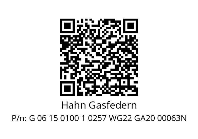   Hahn Gasfedern G 06 15 0100 1 0257 WG22 GA20 00063N