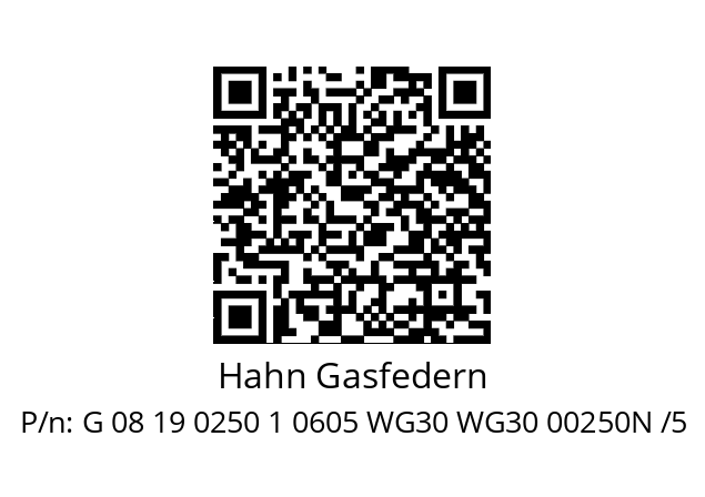   Hahn Gasfedern G 08 19 0250 1 0605 WG30 WG30 00250N /5