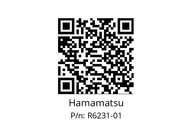   Hamamatsu R6231-01