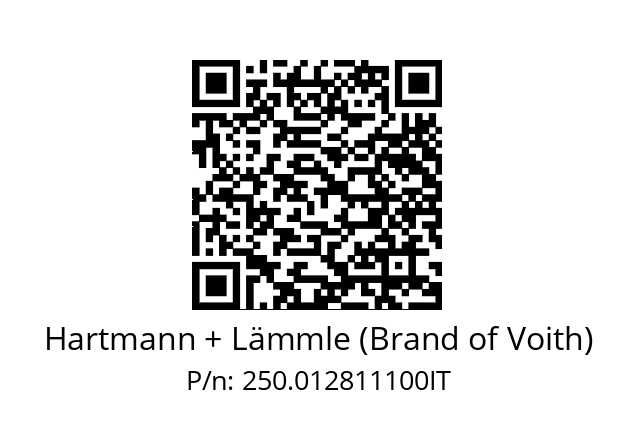   Hartmann + Lämmle (Brand of Voith) 250.012811100IT